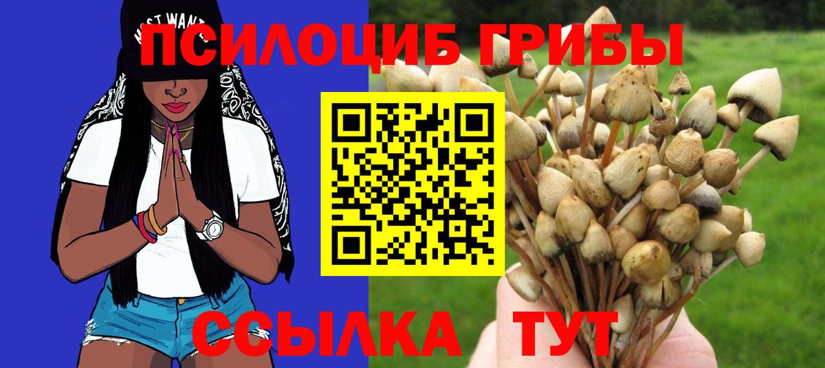 Псилоцибиновые грибы MAGIC MUSHROOMS  закладки  Вход с VPN  Югорск  Псилоцибиновые грибы ЛСД 